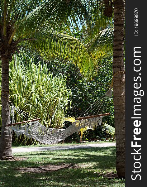 Palm trees background at a hotel - beach resort