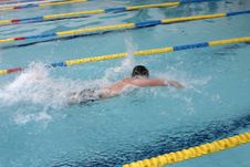 The Swimmer Royalty Free Stock Photos