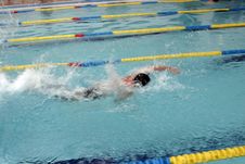 The Swimmer Stock Image