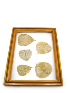 Leaves In A Framework Royalty Free Stock Photo Leaves In A Framework Royalty Free Stock Photo