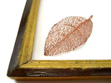 Leaves In A Framework Royalty Free Stock Images Leaves In A Framework Royalty Free Stock Images