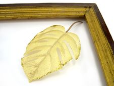 Leaves In A Framework Stock Images Leaves In A Framework Stock Images