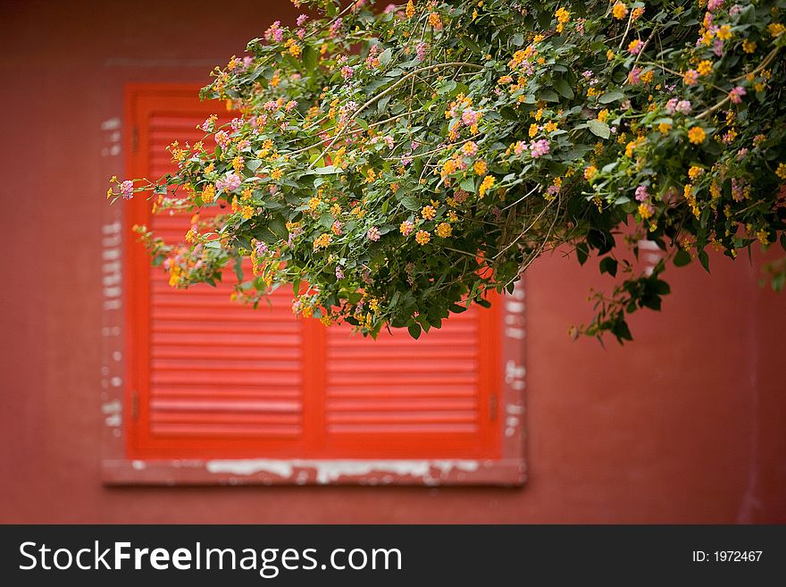 Window And Red Shutter