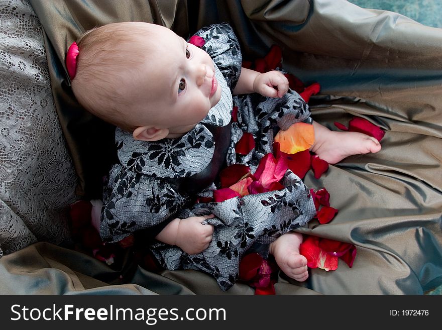 Baby in formal dress sitting on the chair covered with silk and petals. Baby in formal dress sitting on the chair covered with silk and petals