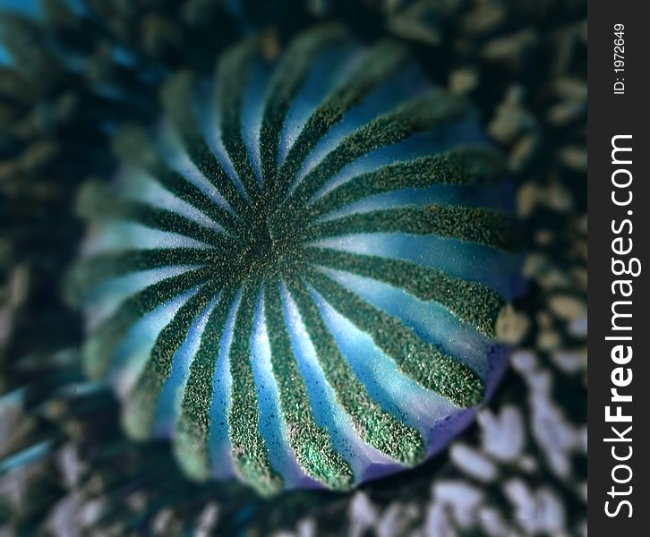 A photo of a blue flower close-up. A photo of a blue flower close-up