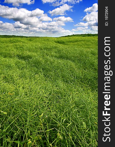 A photo of green farmland in summertime. Lots of space for text. Useful as background