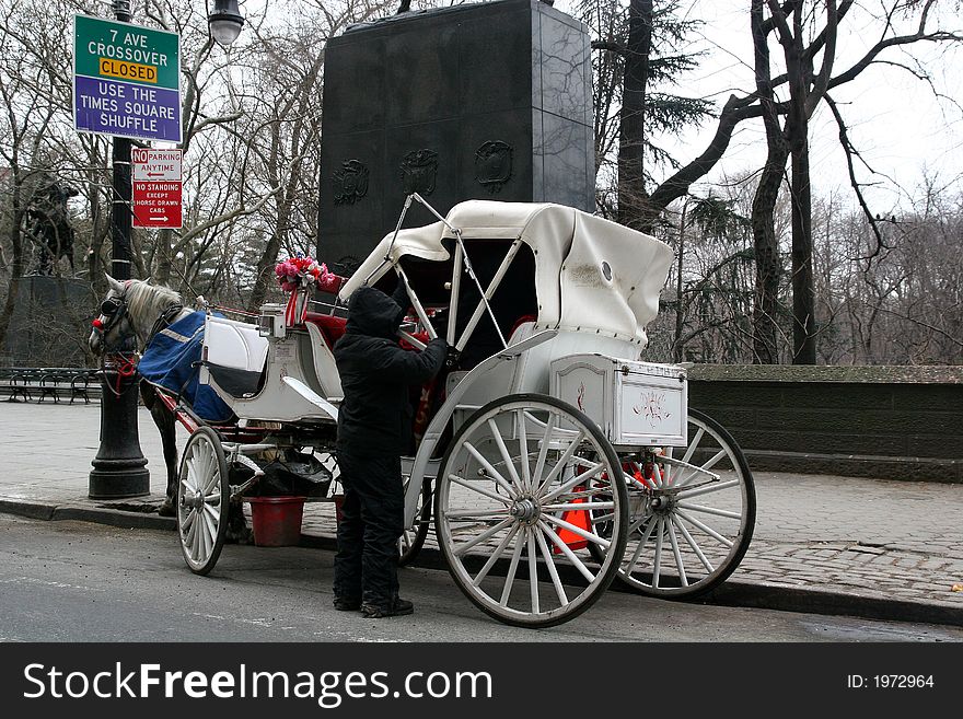 Carriage Driver preparing horse for a winter ride. Carriage Driver preparing horse for a winter ride