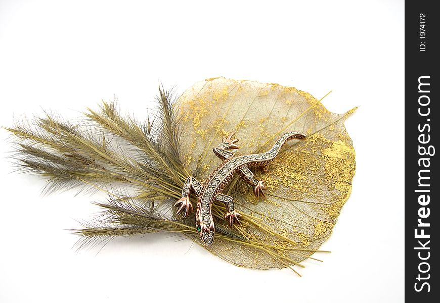 The beautiful decorative lizard on a dry branch and a sheet on a white background. The beautiful decorative lizard on a dry branch and a sheet on a white background