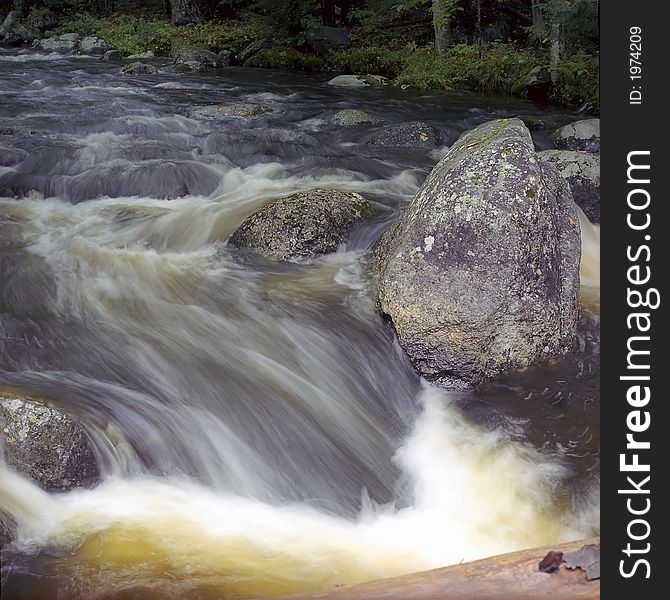 A Stream Flowing through the Woods Upstate New York. A Stream Flowing through the Woods Upstate New York