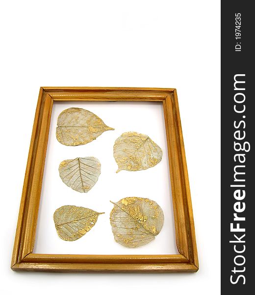 Beautiful leaves in a wooden framework on a white background. Beautiful leaves in a wooden framework on a white background