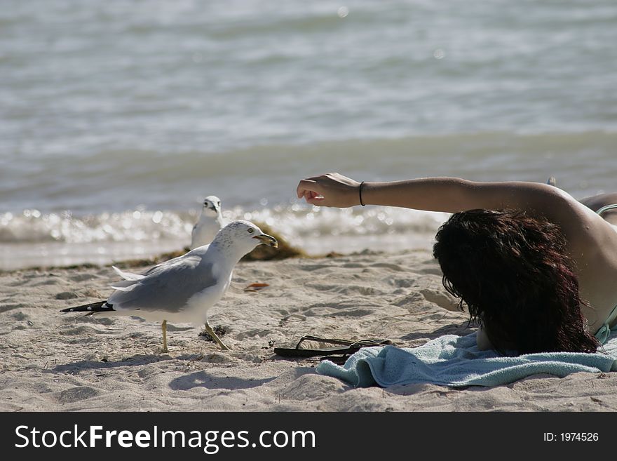 Bird feeding at beach,by young girl