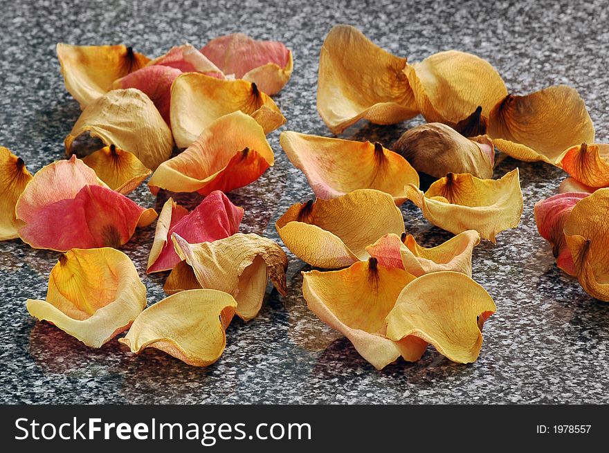 Petals of drying up rose on a granite flag...