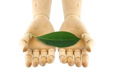 A Leaf On Wooden Hand Stock Image