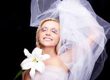 Beautiful Blond Woman Royalty Free Stock Images Beautiful Blond Woman Royalty Free Stock Images