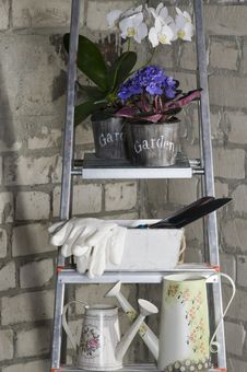 Gardening Tools  And Flowers In Pots. Royalty Free Stock Photo