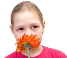 The Girl With A Flower Isolated Royalty Free Stock Image The Girl With A Flower Isolated Royalty Free Stock Image