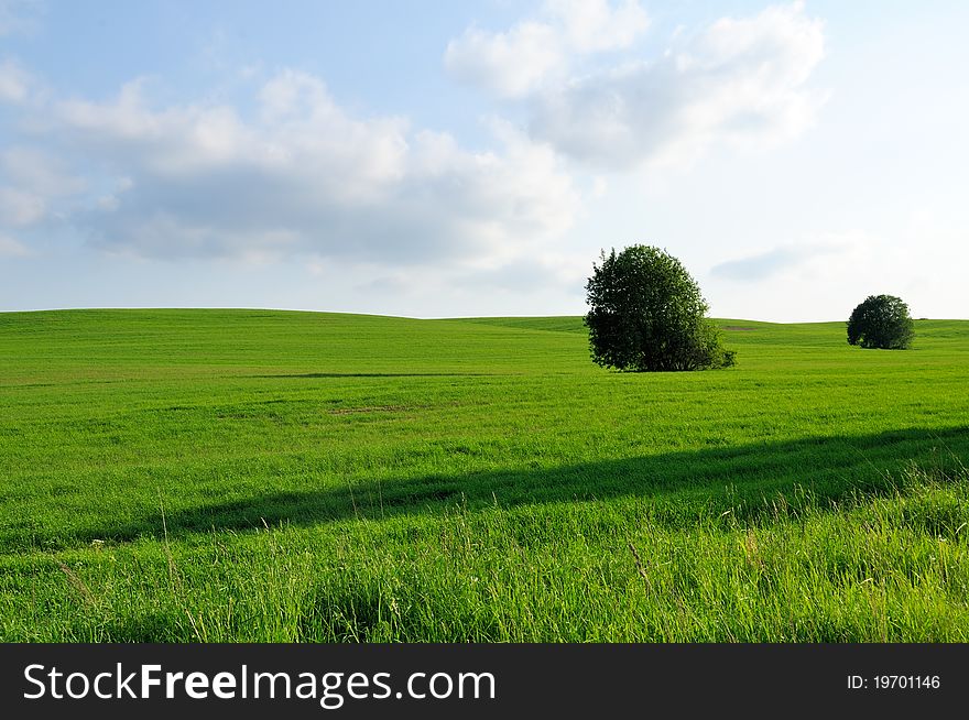 A green field and trees under a light blue sky. A green field and trees under a light blue sky