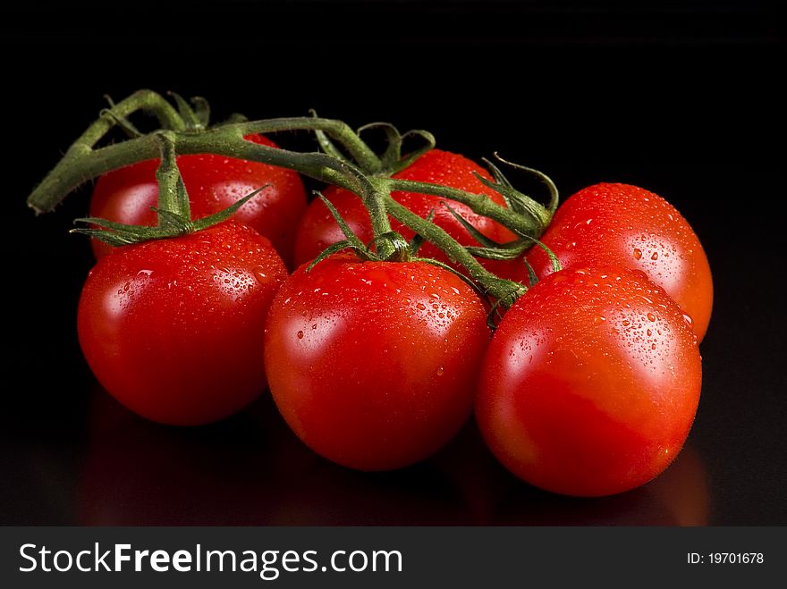 Branch of tomatoes on a black background