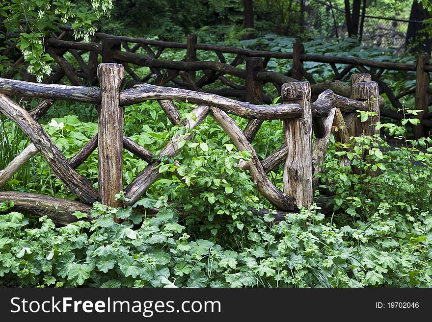 Central Park, New York City Shakespeare gardens with wooden fence after rain storm in the early morning