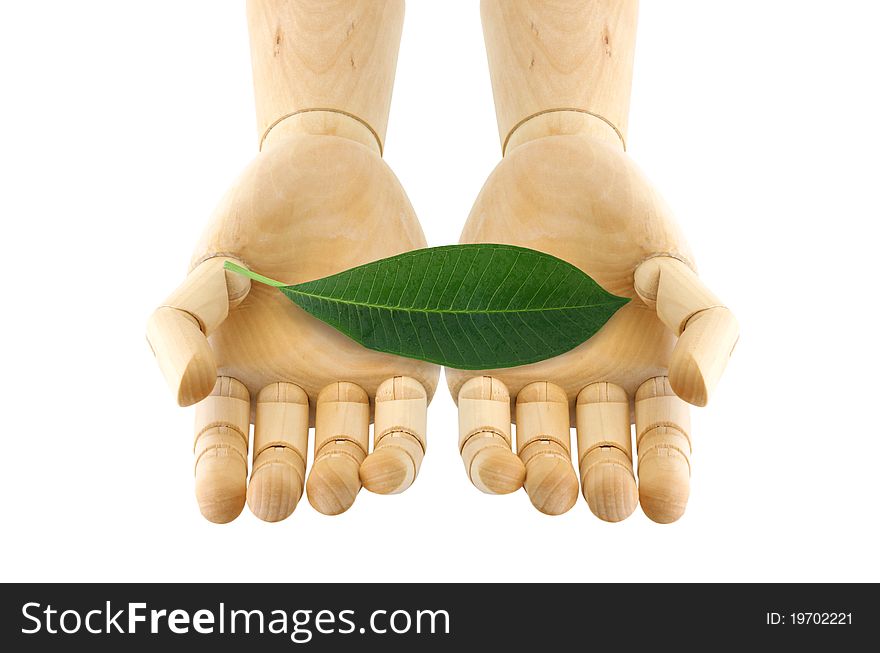 A leaf on wooden hand holding