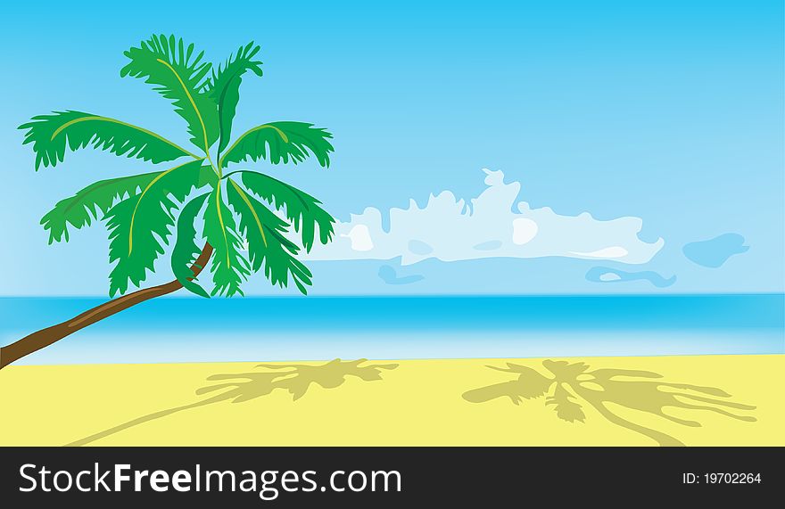Background. Summer. A green palm tree on a beach.