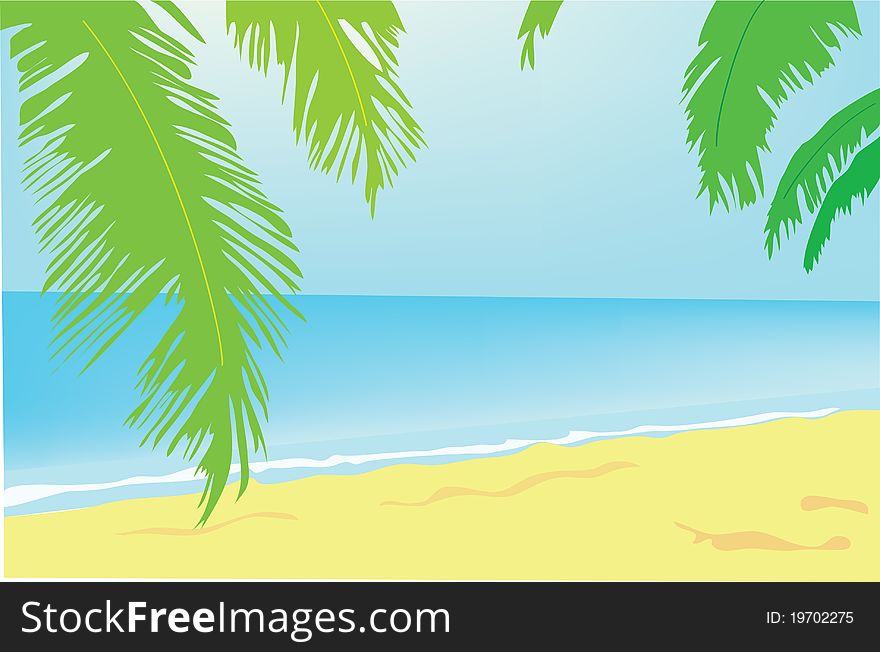 Background. Summer. A Green Palm Tree On A Beach.