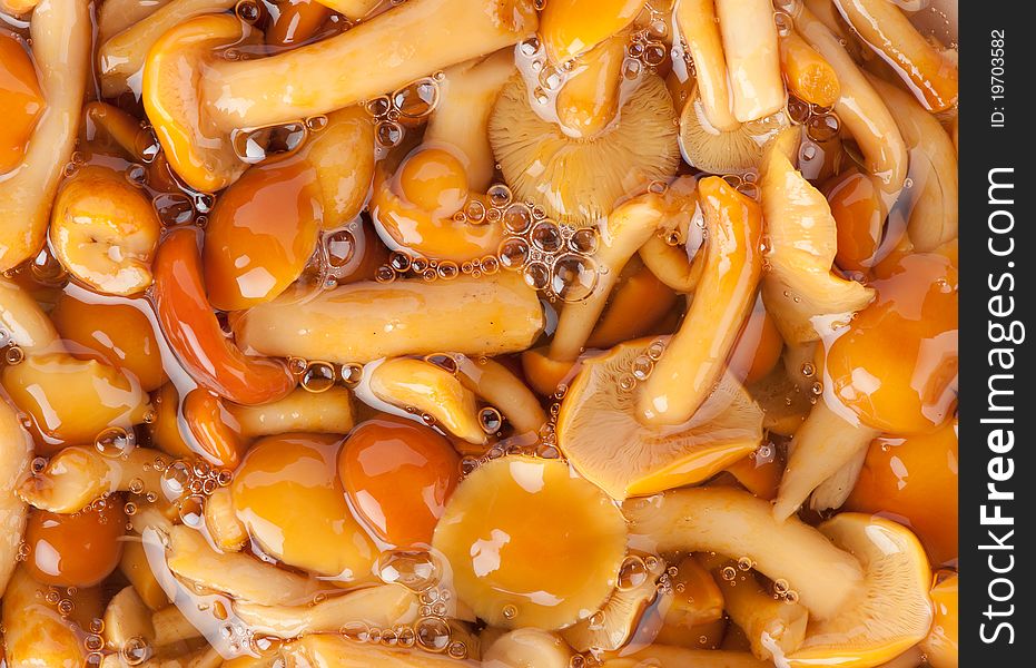 Background of marinated orange mushrooms. Background of marinated orange mushrooms