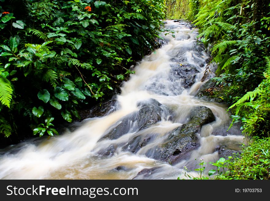 Rapidly flowing stream in Indonesia