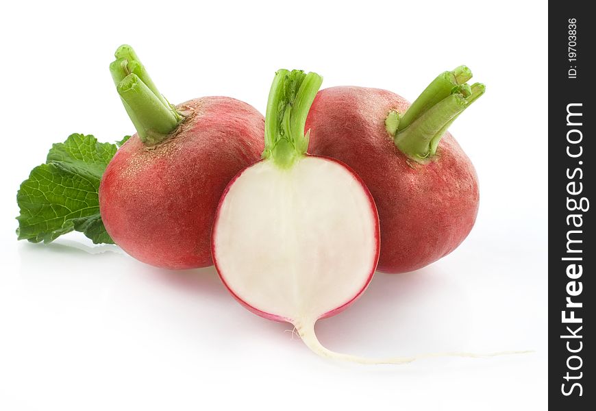 Fresh radishes isolated