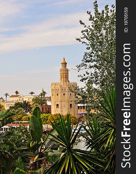 Seville - the Golden tower