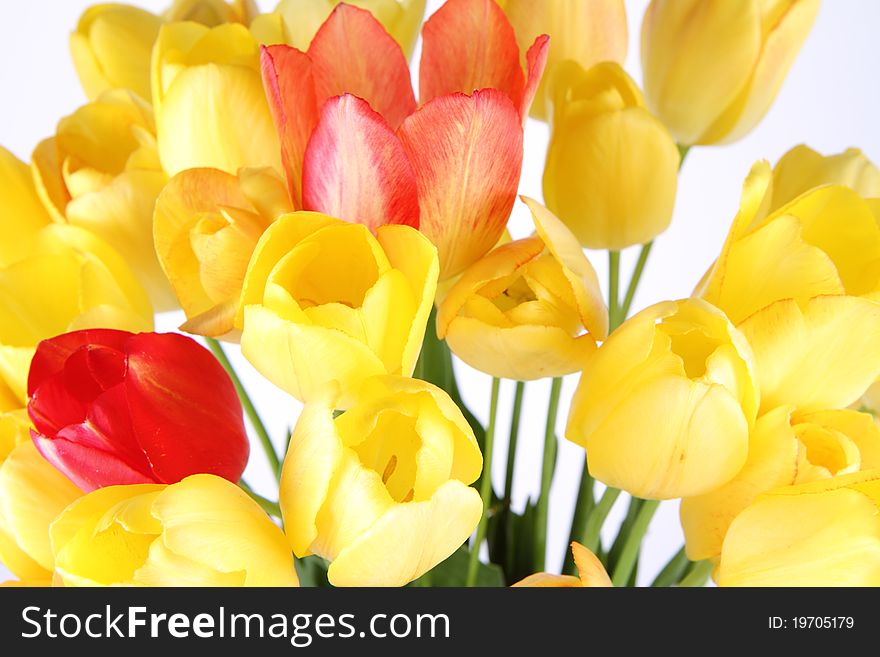 Bouquet of yellow, orange and red tulips