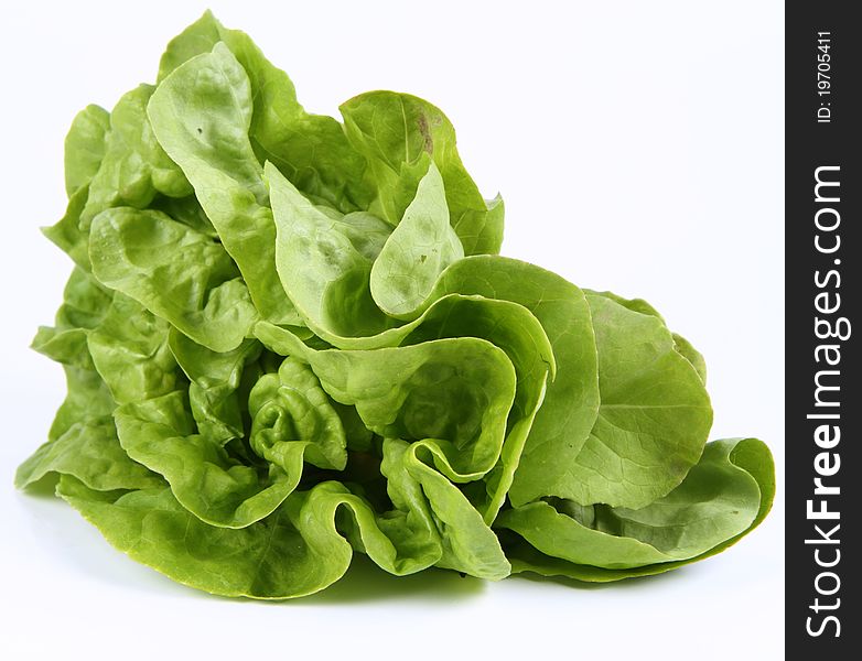 Lettuce on a white background