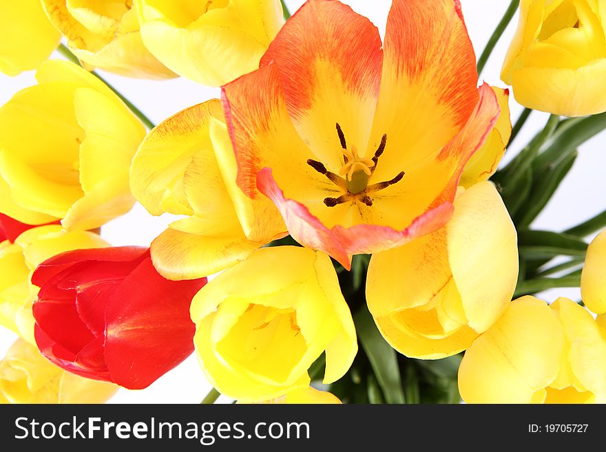 Bouquet of yellow, orange and red tulips