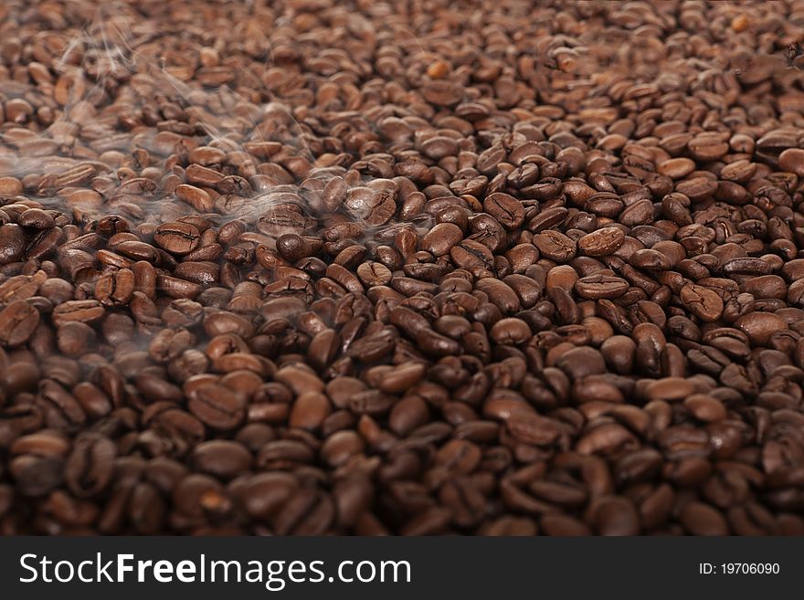 Fresh Roasted Coffee Beans