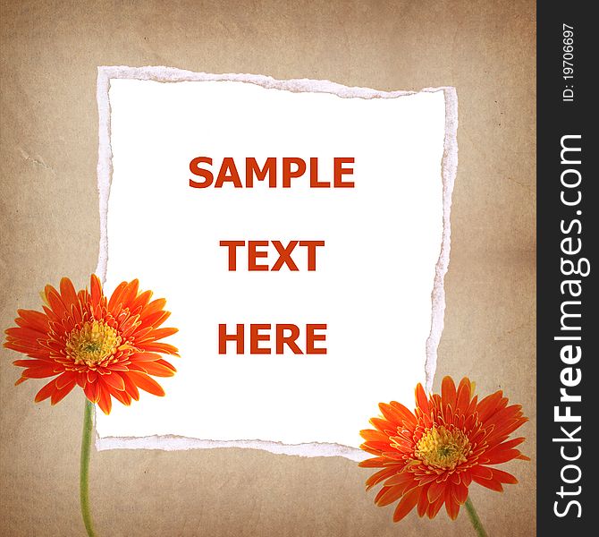 Gerbera Flower And Old Paper For Text And Backgrou
