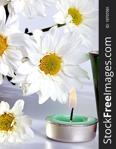 Simple white daisies and candle with isolated white background
