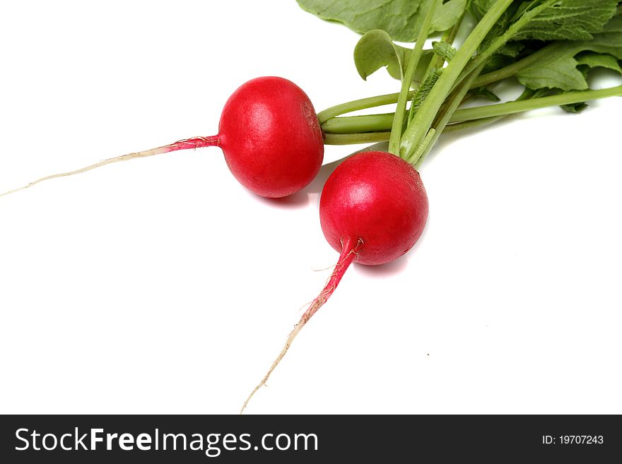 Two fresh radishes isolated on a white background