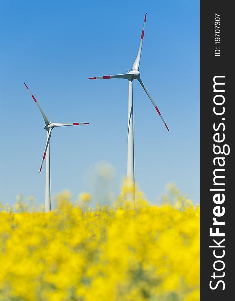 Wind turbines in a rapeseed field