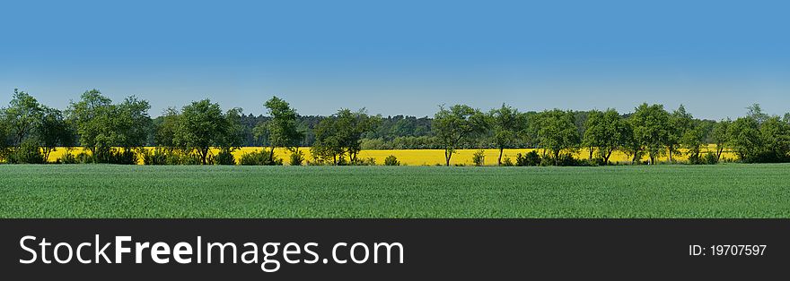 Alley between adjacent fields in Brandenburg, Germany