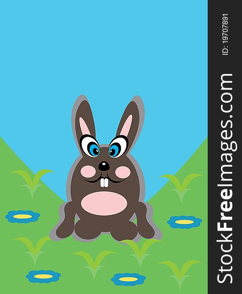 Cartoon Rabbit On Isolated Background