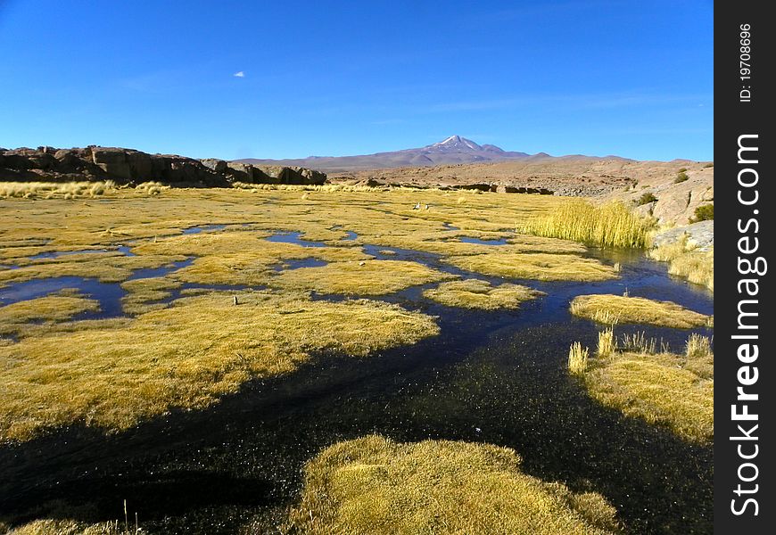 Uturunku Volcano, Altiplano, Bolivia.