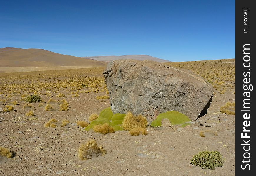 Uturunku Volcano, Altiplano, Bolivia.