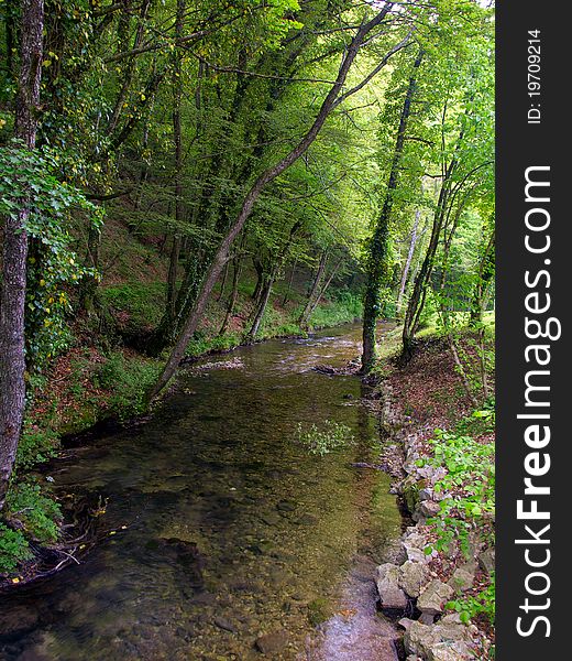 Small river slowly flowing through the forest. Small river slowly flowing through the forest