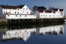 Seaside Houses In Lofoten Royalty Free Stock Photo