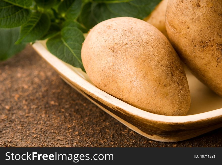 New uncooked potato with fresh leaves. New uncooked potato with fresh leaves