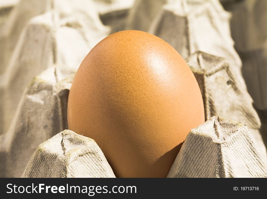 The egg lying in cardboard packing for eggs