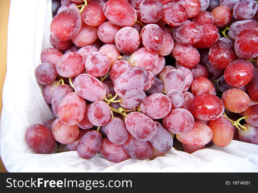 Grapes, very fresh grape fruit shop in selling.