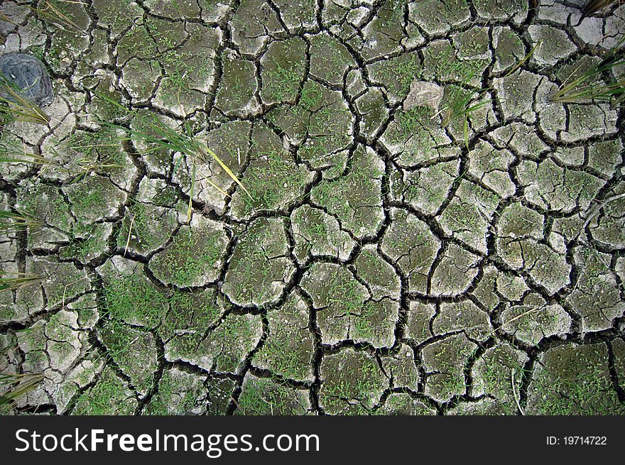 Damaged Agricultural Land