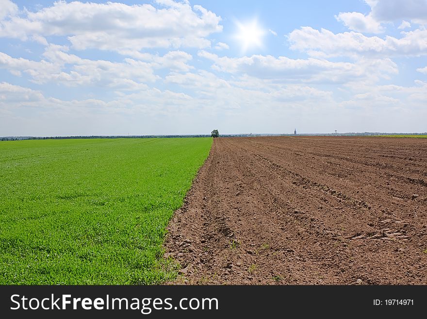 Lithuanian Horticulture Fields