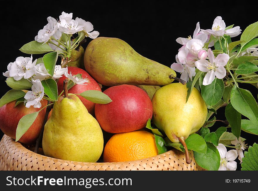 Blossoming branches of an apple-tree and pear, and also their fruits and strawberry. Blossoming branches of an apple-tree and pear, and also their fruits and strawberry.